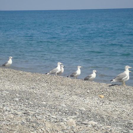 Holiday Home Borgorosso Guardavalle Εξωτερικό φωτογραφία